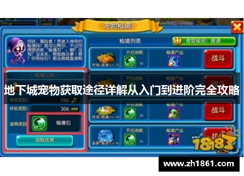 地下城宠物获取途径详解从入门到进阶完全攻略